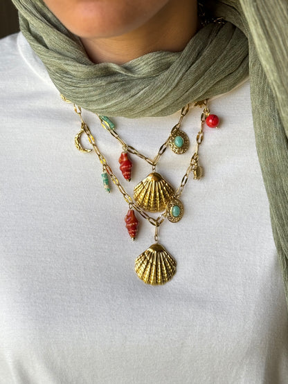 Coral shells