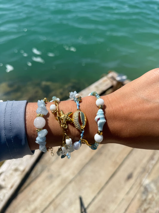 Beyond the Sea