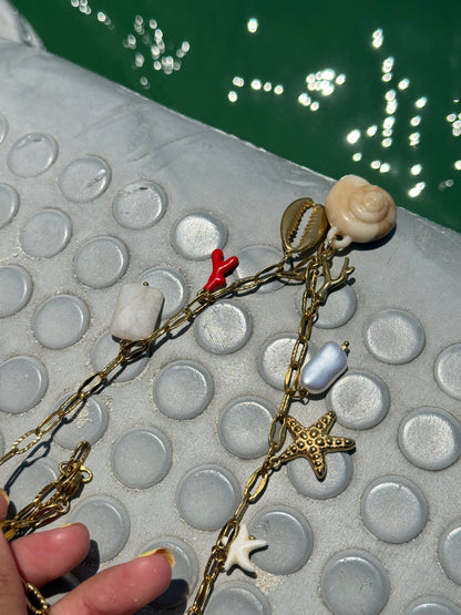 Corals