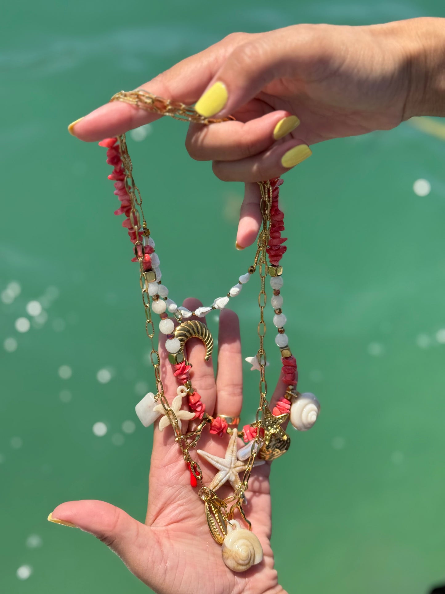 Corals