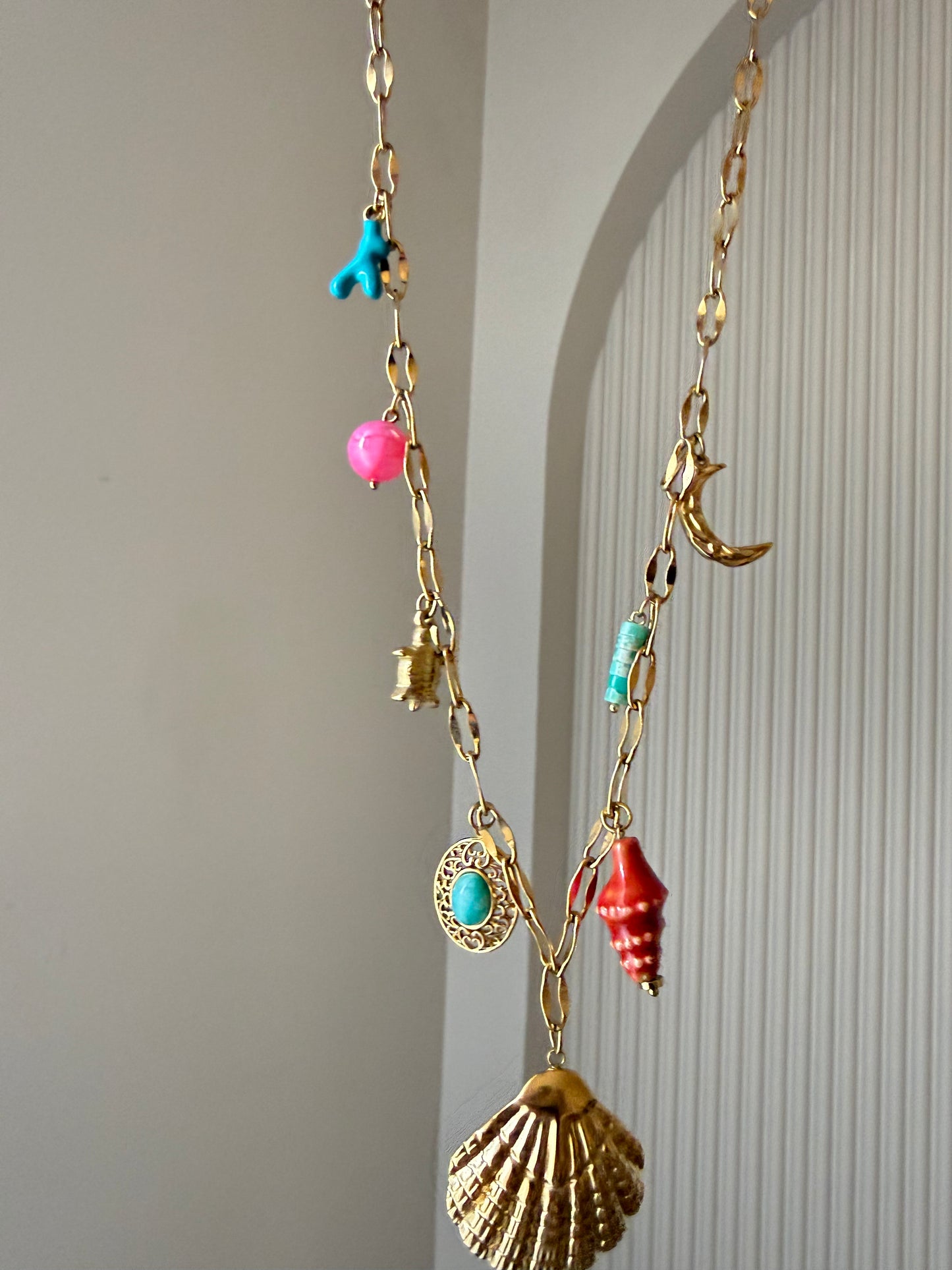 Coral shells