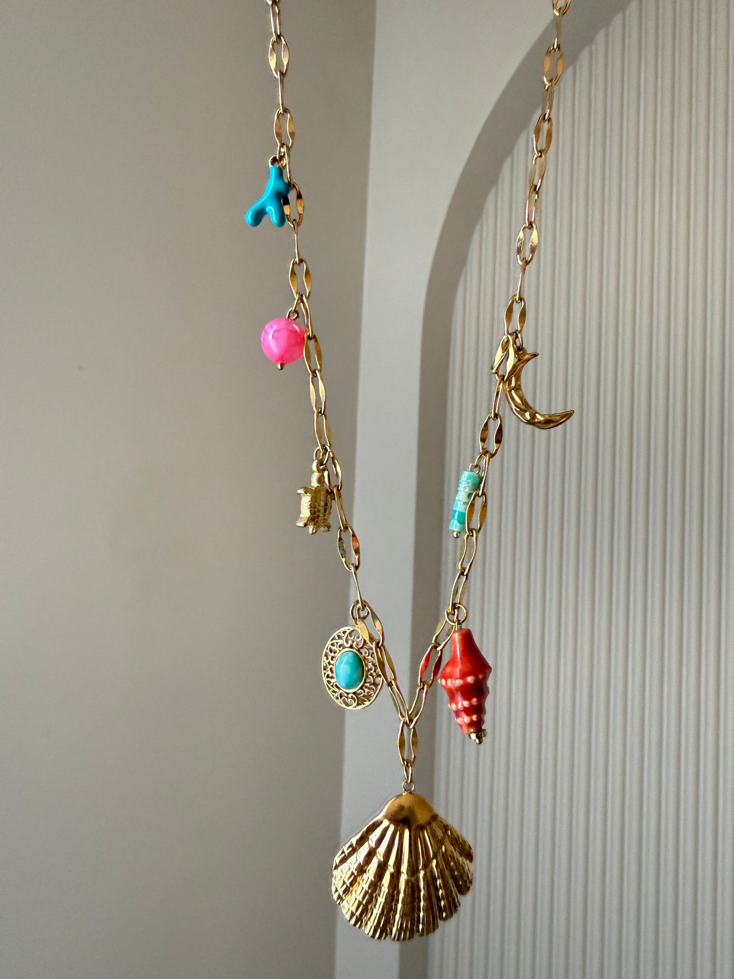 Coral shells